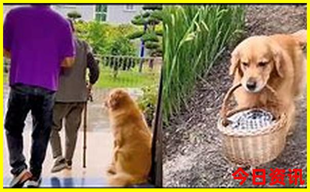 珠三角旅游景点排行榜前十名